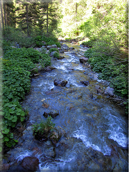 foto Malga Valsorda